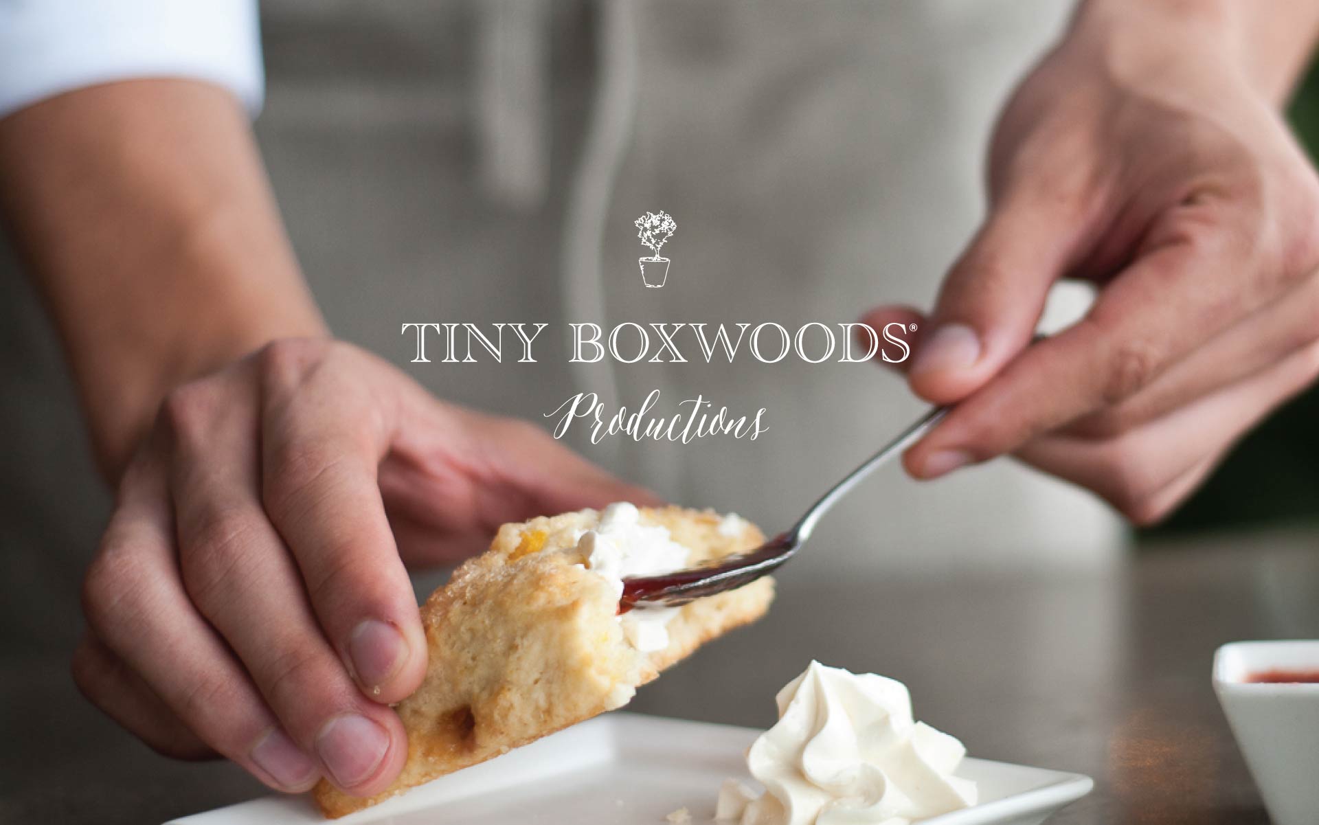 Branding identity design by Creative Retail Packaging for Tiny Boxwood Productions