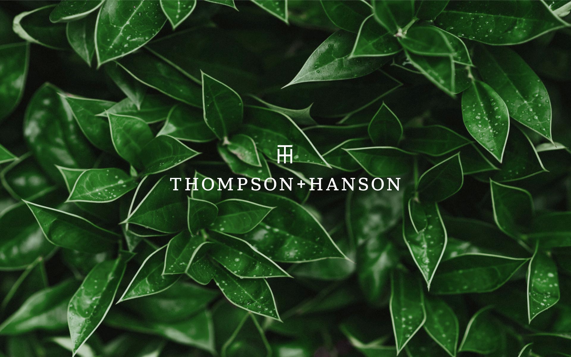 Branding image of Thompson Hanson by Creative Retail Packaging.