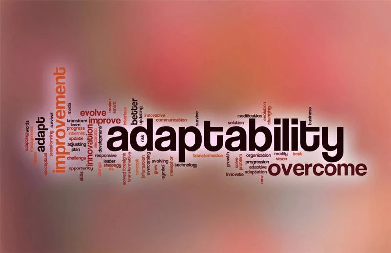 A word cloud centered on adaptability with synonyms like innovation and growth, reflecting mindset agility in fast food operations.