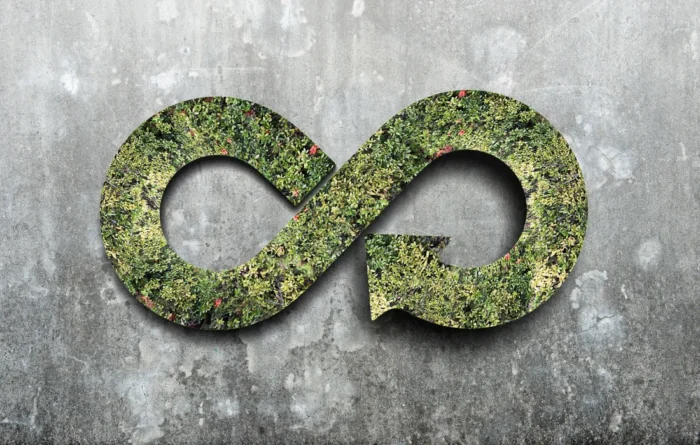 Green circular economy symbol made from foliage on a concrete wall, representing sustainable packaging and environmental impact.